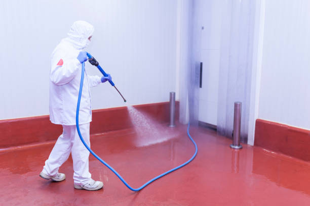 Best Spring Cleaning  in Big Bear Lake, CA